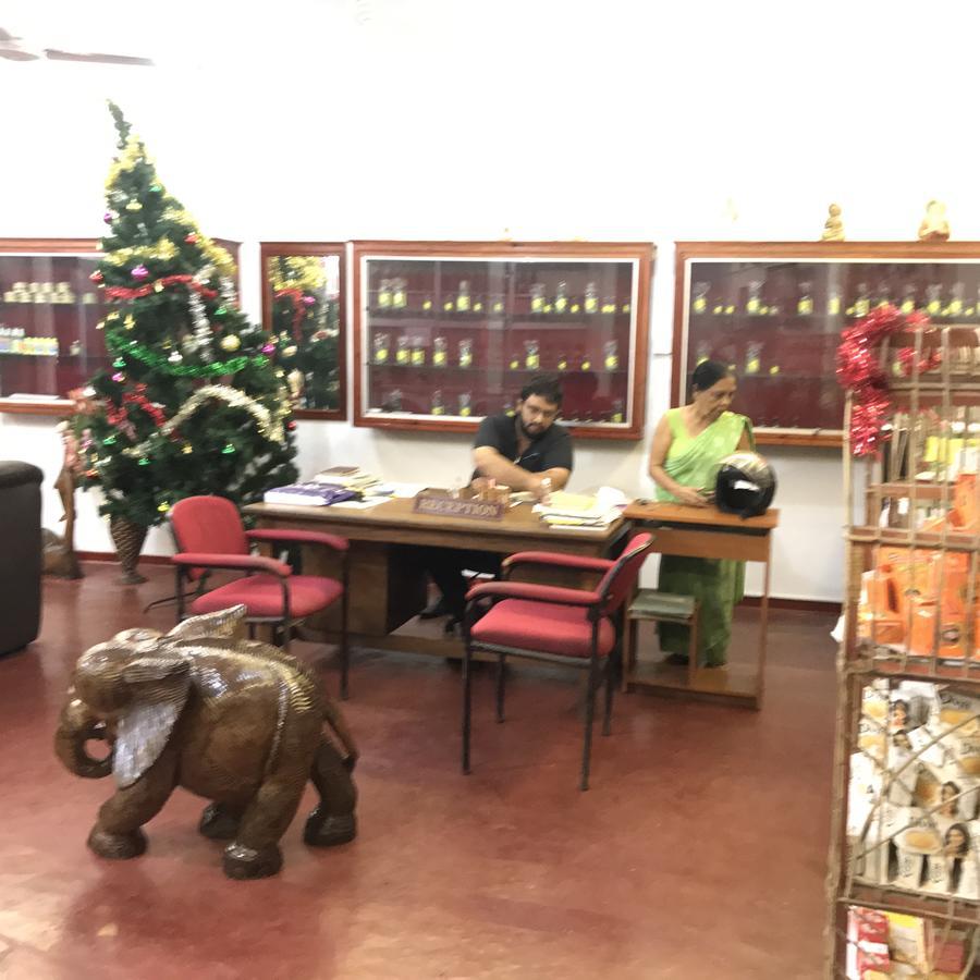 Srilanka Ayurveda Hotel Hikkaduwa Kültér fotó